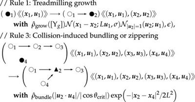 Frontiers | Explicit Calculation of Structural Commutation